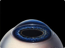 手术完毕，切口自然恢复